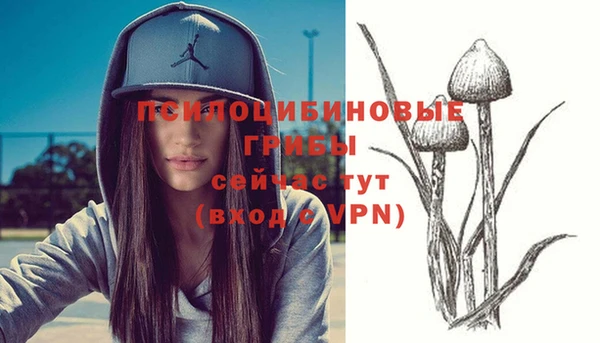 амфетамин Кинешма