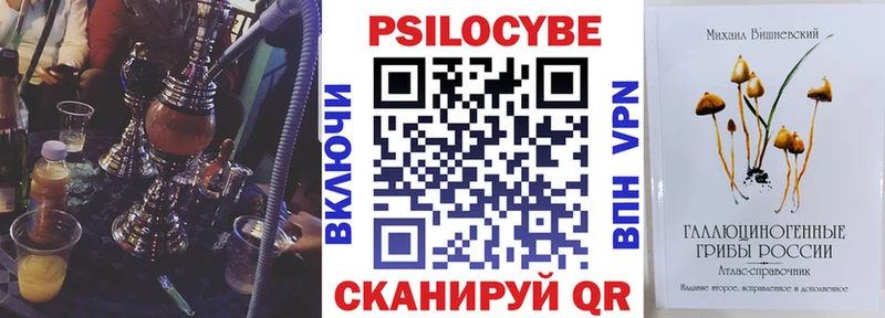 Галлюциногенные грибы GOLDEN TEACHER  Купить где  Красный Кут 